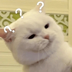 640.gif